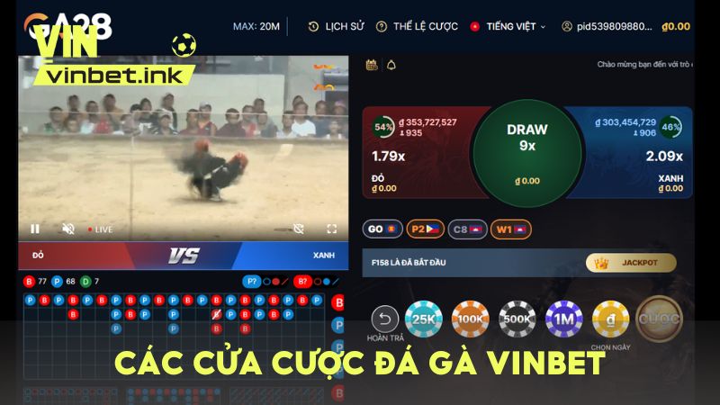 Hệ thống cửa cược đá gà cơ bản trên VINBET