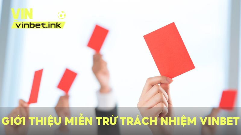 Giới thiệu chung về chính sách miễn trừ trách nhiệm VINBET