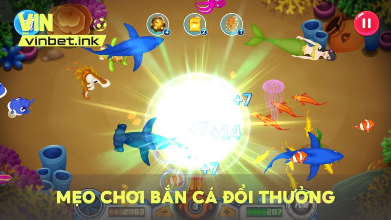 Mẹo săn cá đổi thưởng đỉnh cao từ cao thủ giúp bạn dễ dàng giành phần thắng