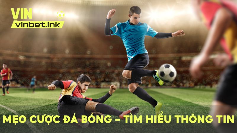 Luôn bắt đầu từ thông tin và thống kê trận đá bóng trước khi đặt cược